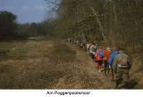 DLW Internet (34)_2