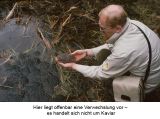 DLW Internet (25)_2