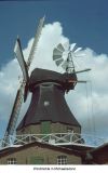 DLW Internet (19)_2
