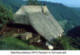 DLW Internet (08)_1