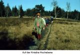 DLW Internet (10)_2
